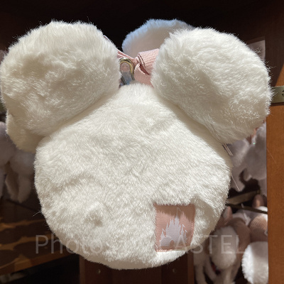 ショルダーバッグ（ディズニー40周年グッズ）