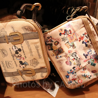 ショルダーパスケース