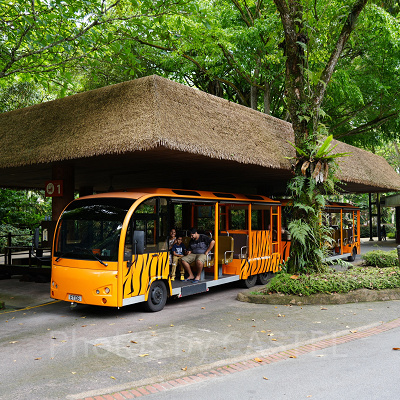 シンガポール動物園：無料のトラムも常時運行中