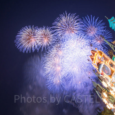 スカイハイ・ウィッシュ