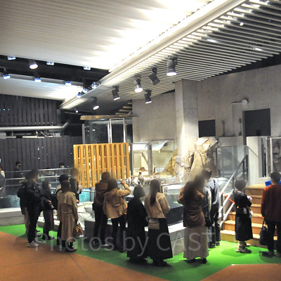 SKY SHORE　空辺の庭／神戸ポートミュージアム