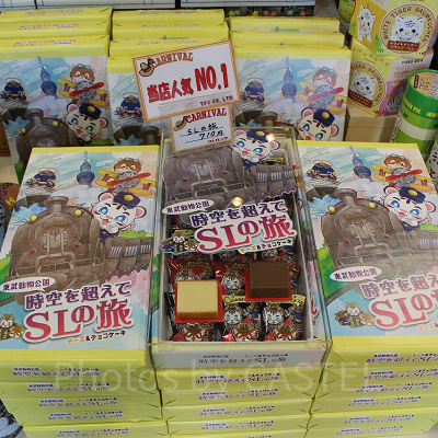 チョコとチーズ、２種類のケーキが入った「SLの旅」