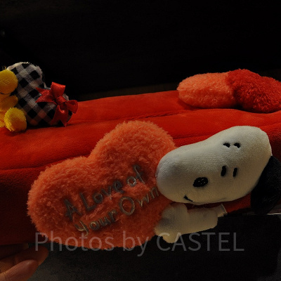 スヌーピー「A Love of Your Own」ぬいぐるみ付ティッシュケース