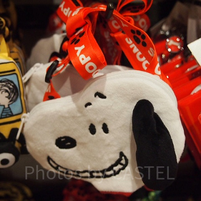 スヌーピー顔ポーチパスケース