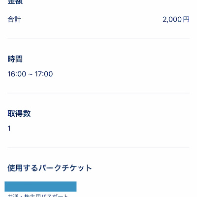 ソアリンのプレミアアクセス