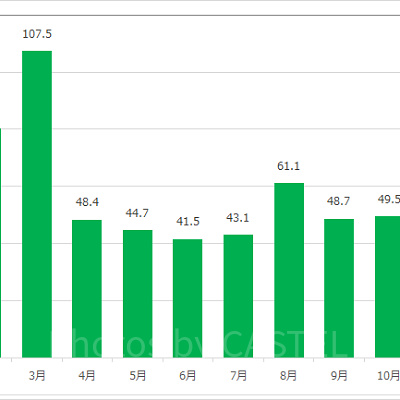 スペース・マウンテンの月別平均待ち時間