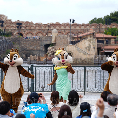 リドアイルから見たスパークリング・ジュビリー・セレブレーション