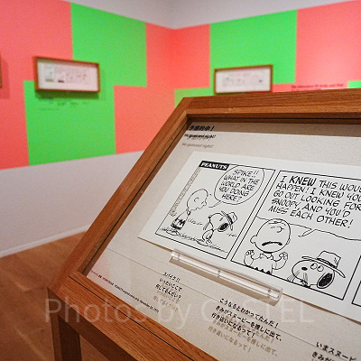 企画展「旅するピーナッツ。」
