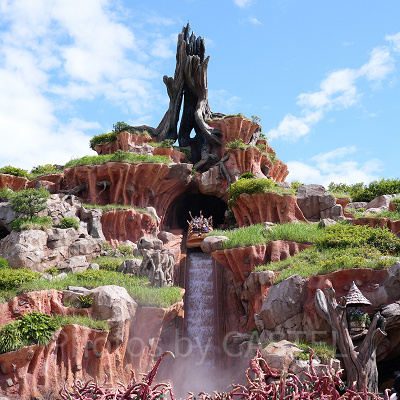 スプラッシュ・マウンテン(写真は日本のもの)