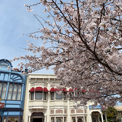 2026年の春休みディズニー：混雑予想