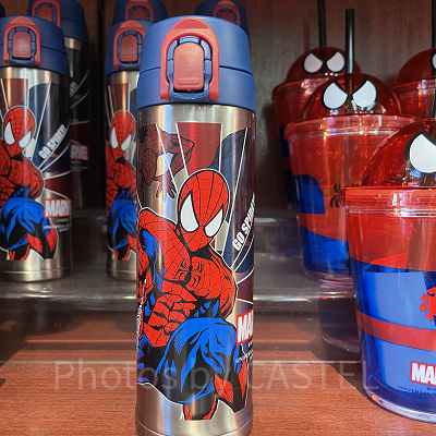 ステンレスボトル