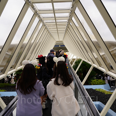 スタンバイに並ぶ様子