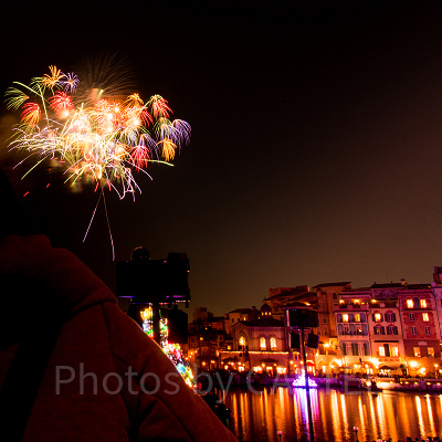 両パーク開催スターブライト・クリスマス
