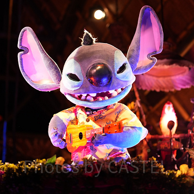 演奏も上手なスティッチ