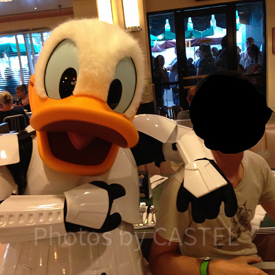 ストームトルーパードナルド