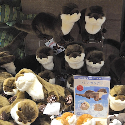 ぬいぐるみ コツメカワウソ