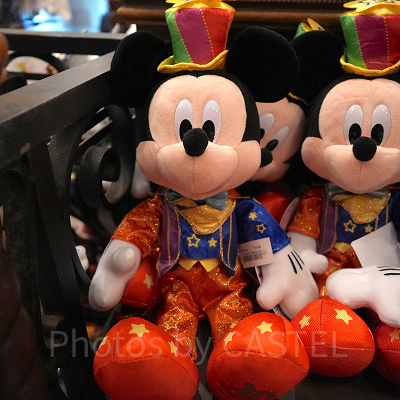 ぬいぐるみ（ディズニー40周年グッズ）