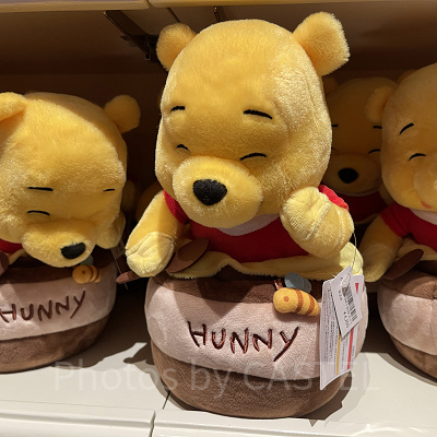 ぬいぐるみ（プーさん）