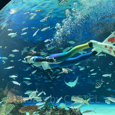 サンシャインラグーン