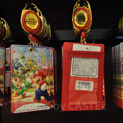 スーパーニンテンドーワールドのリールパスケース