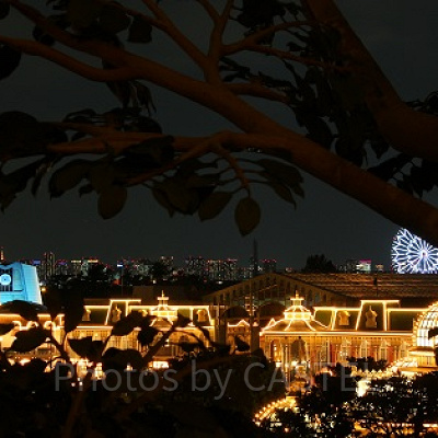 スイスファミリー・ツリーハウス③