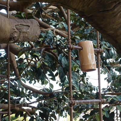 スイスファミリー・ツリーハウス：水をくみ上げる装置