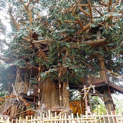 スイスファミリー・ツリーハウス：外観