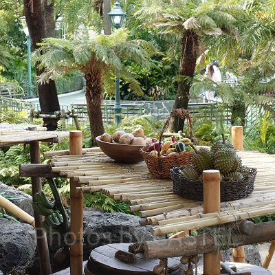 スイスファミリー・ツリーハウス：果物