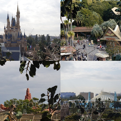 スイスファミリー・ツリーハウス：樹上から望む絶景の数々