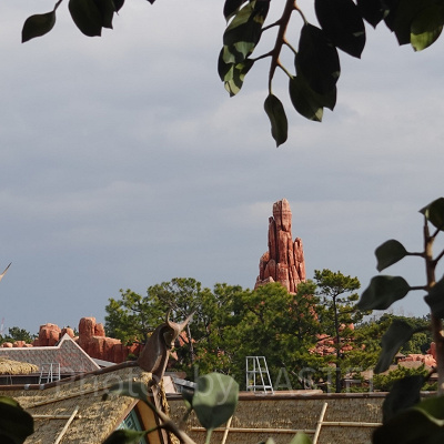 スイスファミリー・ツリーハウス：ビッグサンダー・マウンテンが望める