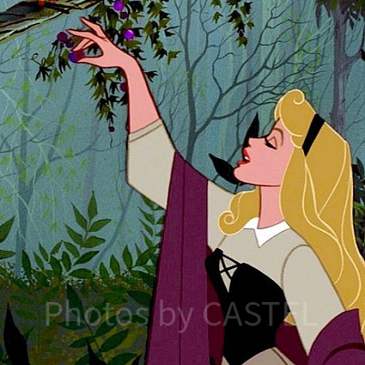 『眠れる森の美女』のあらすじ