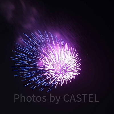 メディテレーニアンハーバーにて撮影