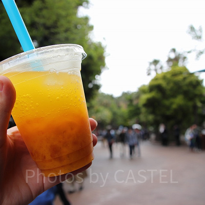タピオカ・マンゴードリンク