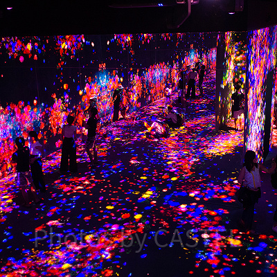 チームラボ　ボーダレスお台場　