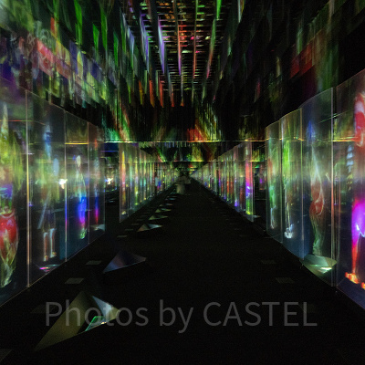 チームラボ　ボーダレスお台場