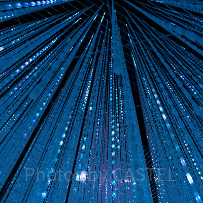 チームラボ　ボーダレスお台場