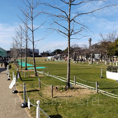 てんしばの芝生広場