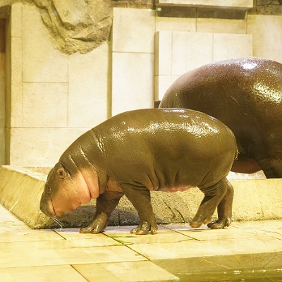 お母さんと一緒で嬉しいテンテン