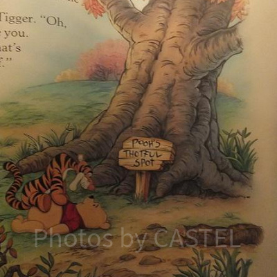 100エーカーの森は実在している！