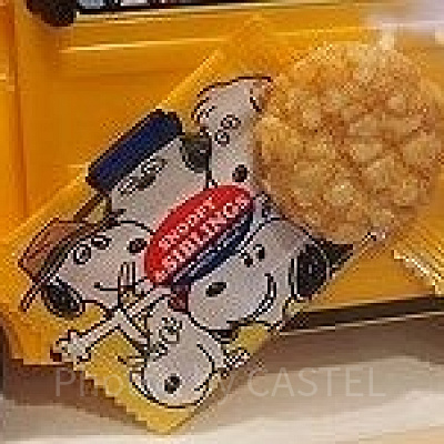 左上のひげの生えたビーグル犬がスパイク