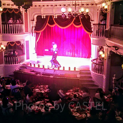 ザ・ダイヤモンドホース シュー・プレゼンツ“ミッキー＆カンパニー”