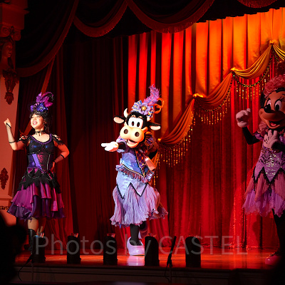 ザ・ダイヤモンド・バラエティマスター：料金