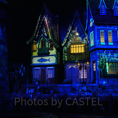 魔法が解けたアレンデールの街〔アナとエルサのフローズンジャーニー〕