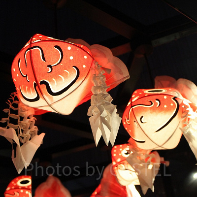 夏の金魚イベントは職人による手作り提灯もみどころ