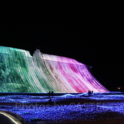 広がる光は幻想的な花畑のよう