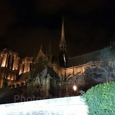 ノートルダムの鐘2のストーリーのあらすじと感想