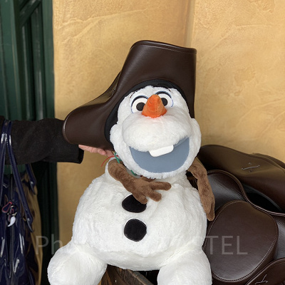 写真のぬいぐるみは、2016年の「アナとエルサのフローズンファンタジー」イベントで発売されました