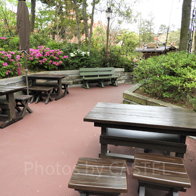 ベンチが多数あります