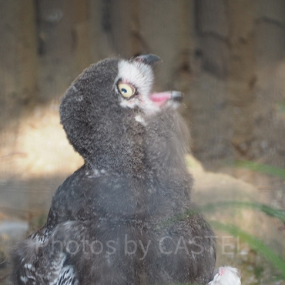 動物園内には可愛い動物がたくさん！