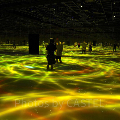 大人の膝丈ほどの深さの水の中に入る作品があります